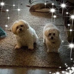 Meet your Posher, Joanne